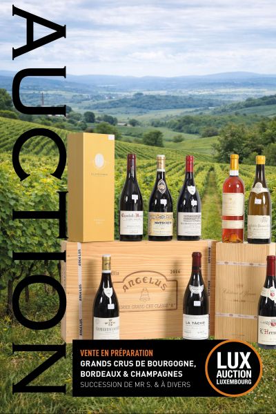Grands Crus de Bourgogne, Bordeaux & Champagnes / Succession de Mr S. & à divers