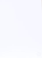 Jean-Michel Basquiat (1960-1988) d'après