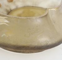 Établissement GALLÉ - Coupe