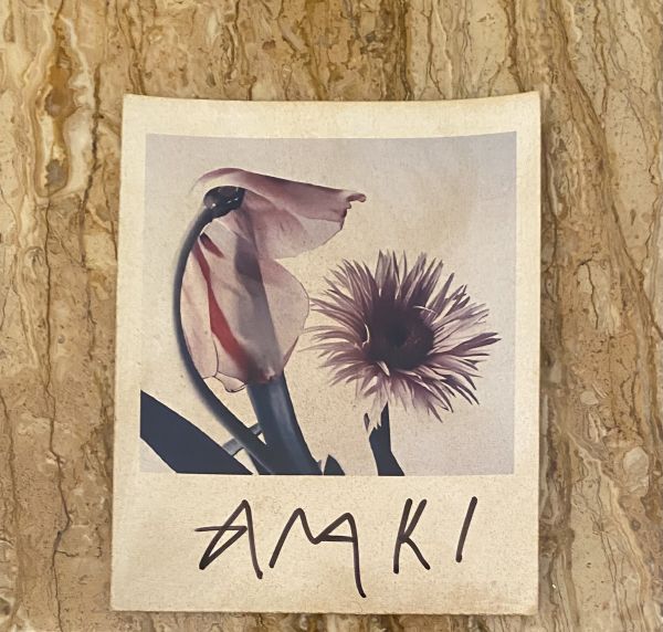 Photographie de Nobuyoshi Araki (Né en 1940)