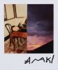 Araki Nobuyoshi (né en 1940) Attribué à