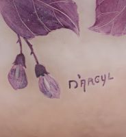 Coupe D’ARGYL