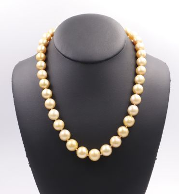 Collier de perles en perles Gold Naturelles
