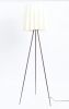 Philippe Starck (né en 1949) - Lampadaire Rosy Angelis