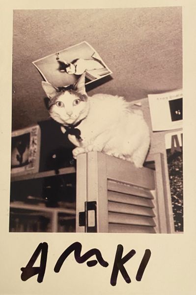 285 NOBUYOSHI ARAKI (d'après)