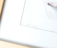Aquarelles - 
