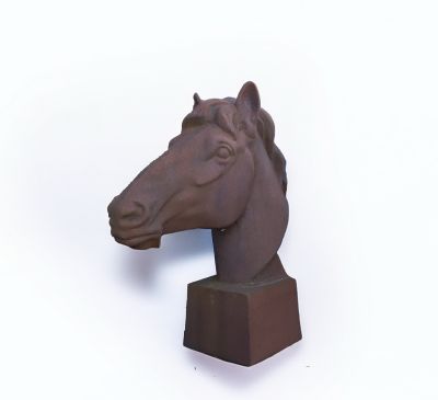 Buste de cheval