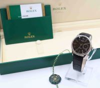 ROLEX CELLINI Ref 50519 Vers 2019