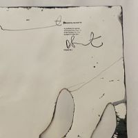 74 Damien HIRST (Né en 1965)