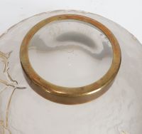 Coupe SAGLIER