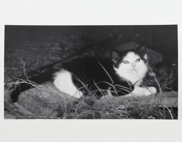 Ogden Robertson (1930-2004)