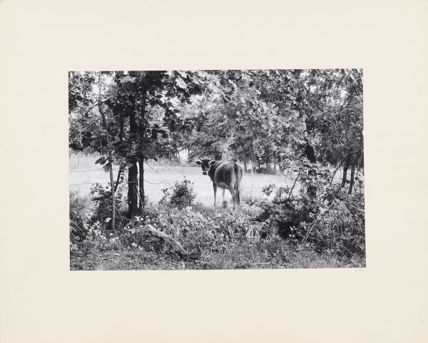 Ogden Robertson (1930-2004)