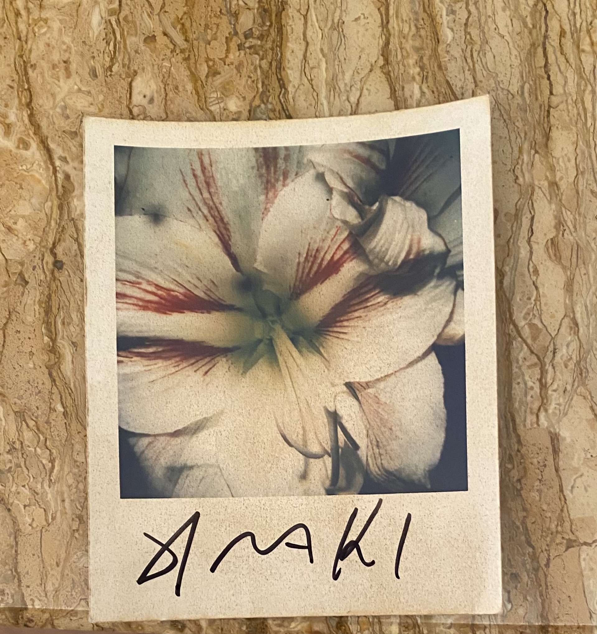 Photographie de Nobuyoshi Araki (Né en 1940)