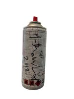 MR. BRAINWASH