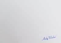 Andy Warhol (1928-1987) d'après