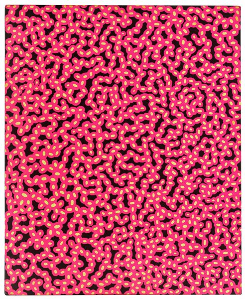 Infinity Nets Pink (1997), Print, after Yayoi Kuzama, Color print signed on Arches paper in the plate, and publisher's stamp numbered on 150, framed with publisher's certificate, Dimensions 28x38 cm