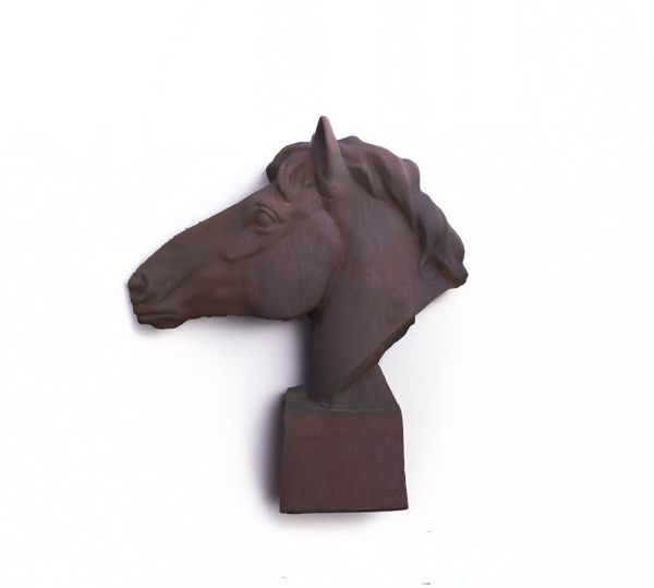 Buste de cheval