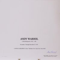 Andy Warhol (d'aprés)