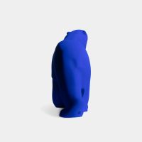 François POMPON x Yves KLEIN (Éditions)