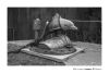 LOVE ART EDITIONS X DIMALAND