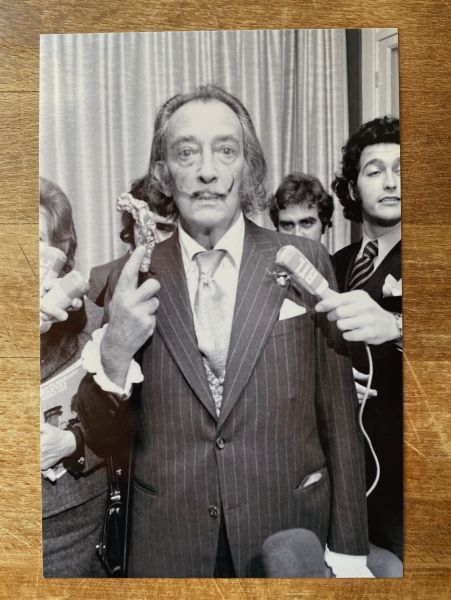 Salvador Dali (D'APRÈS)