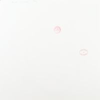 Andy Warhol (1928-1987) d’après