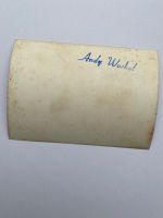 Portrait de l'artiste américain.