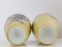Paire de vases GAUTHIER