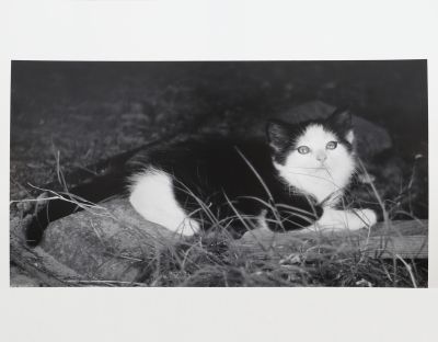 Ogden Robertson (1930-2004)