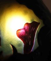 GALLE – Exceptionnel Vase aux ARUMS 