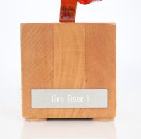 Florence Hoffmann (née en 1966) “Red Book 1”