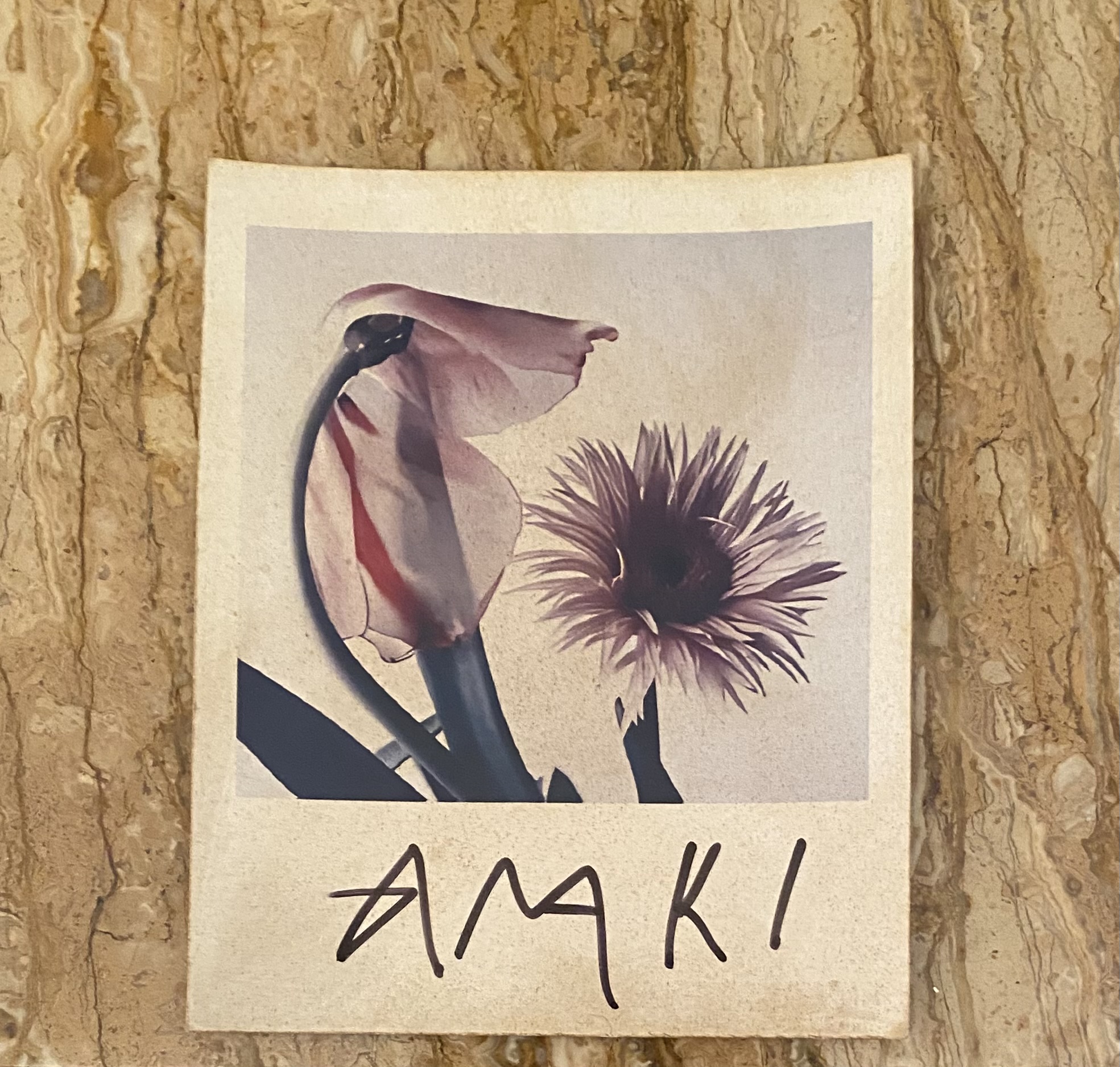 Photographie de Nobuyoshi Araki (Né en 1940)