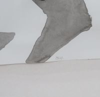 Oeuvre d’Anne de Roo