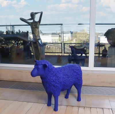 Mouton bleu 